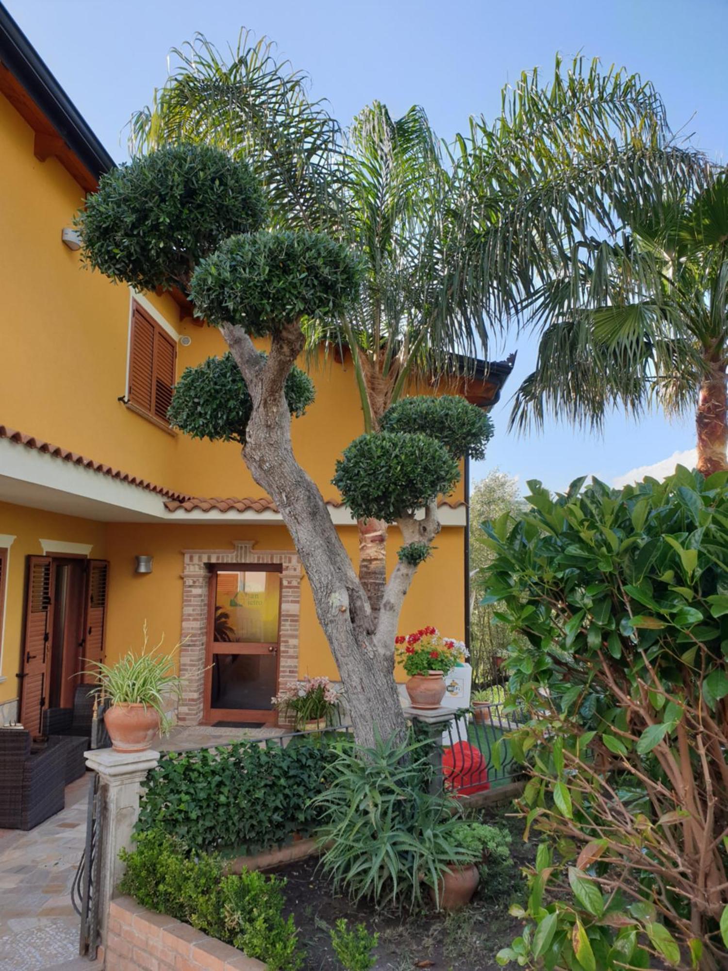 Bed and Breakfast San Pietro Mileto Exterior foto