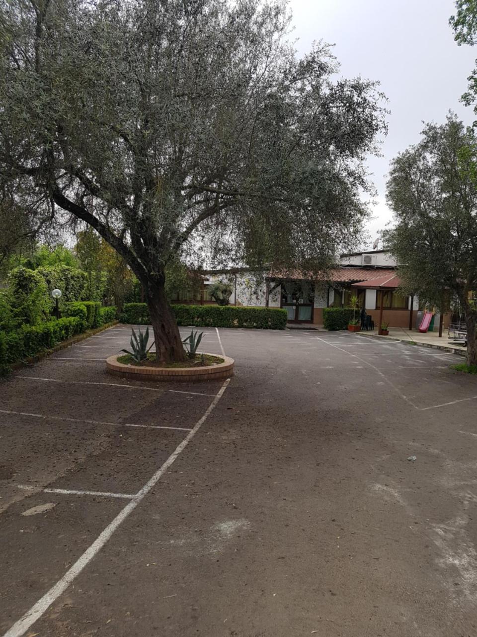 Bed and Breakfast San Pietro Mileto Exterior foto